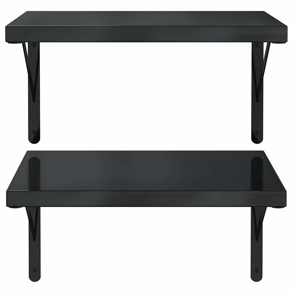 Vegghylle DIV. 2 stk 50x40 cm Svart rustfritt stål