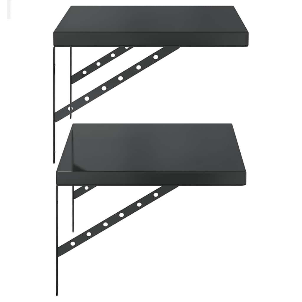 Vegghylle DIV. 2 stk 50x40 cm Svart rustfritt stål