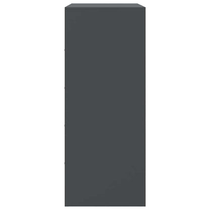 Skap DIV. antrasitt 67x39x95 cm stål