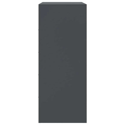 Skap DIV. antrasitt 67x39x95 cm stål