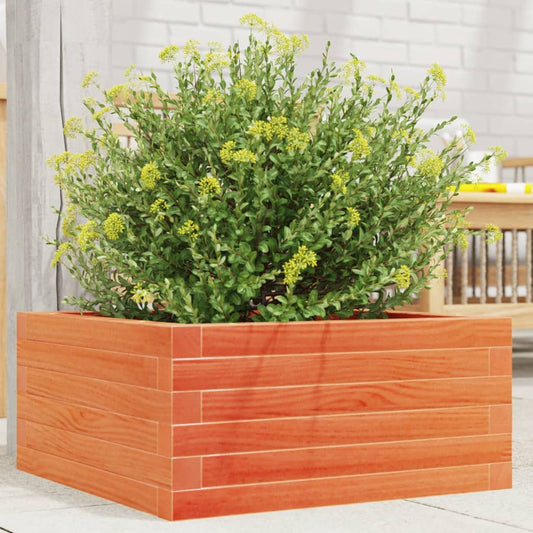 Utendørs Blomsterkasse Plantekasse Tre voksbrun 50x50x23 cm heltre furu