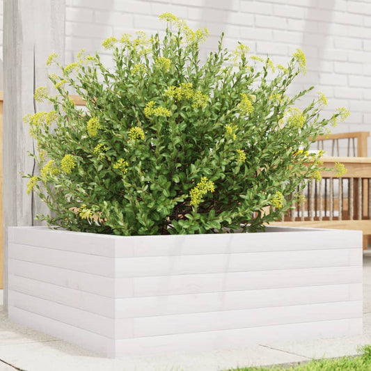 Utendørs Blomsterkasse Plantekasse Tre Hvit 60x60x23 cm heltre furu