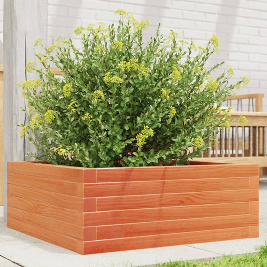 Utendørs Blomsterkasse Plantekasse Tre voksbrun 60x60x23 cm heltre furu