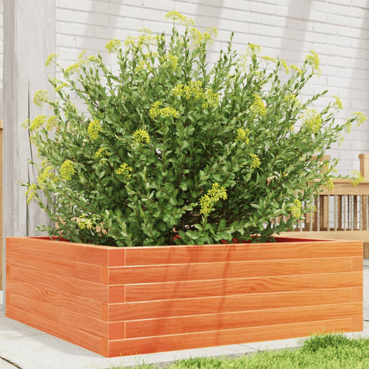 Utendørs Blomsterkasse Plantekasse Tre voksbrun 70x70x23 cm heltre furu