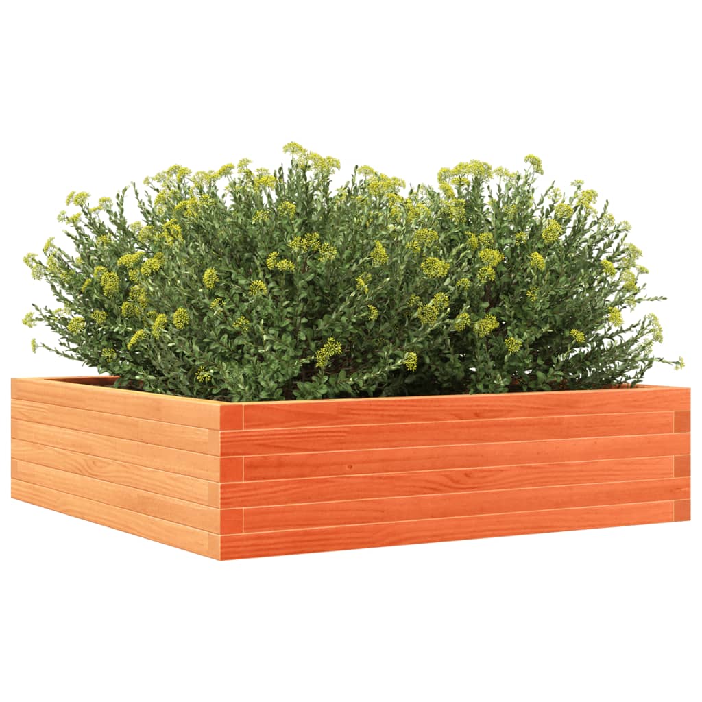 Utendørs Blomsterkasse Plantekasse Tre voksbrun 90x90x23 cm heltre furu
