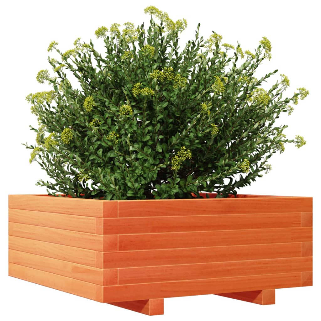 Utendørs Blomsterkasse Plantekasse Tre voksbrun 60x60x26,5 cm heltre furu