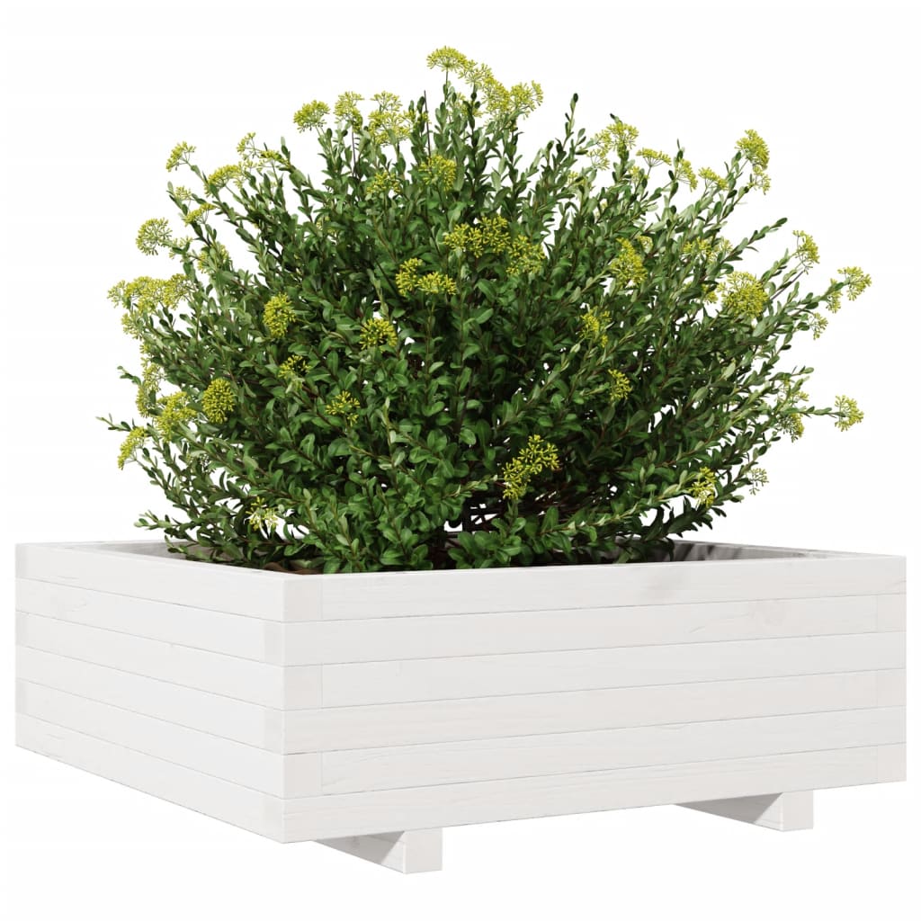 Utendørs Blomsterkasse Plantekasse Tre Hvit 70x70x26,5 cm heltre furu