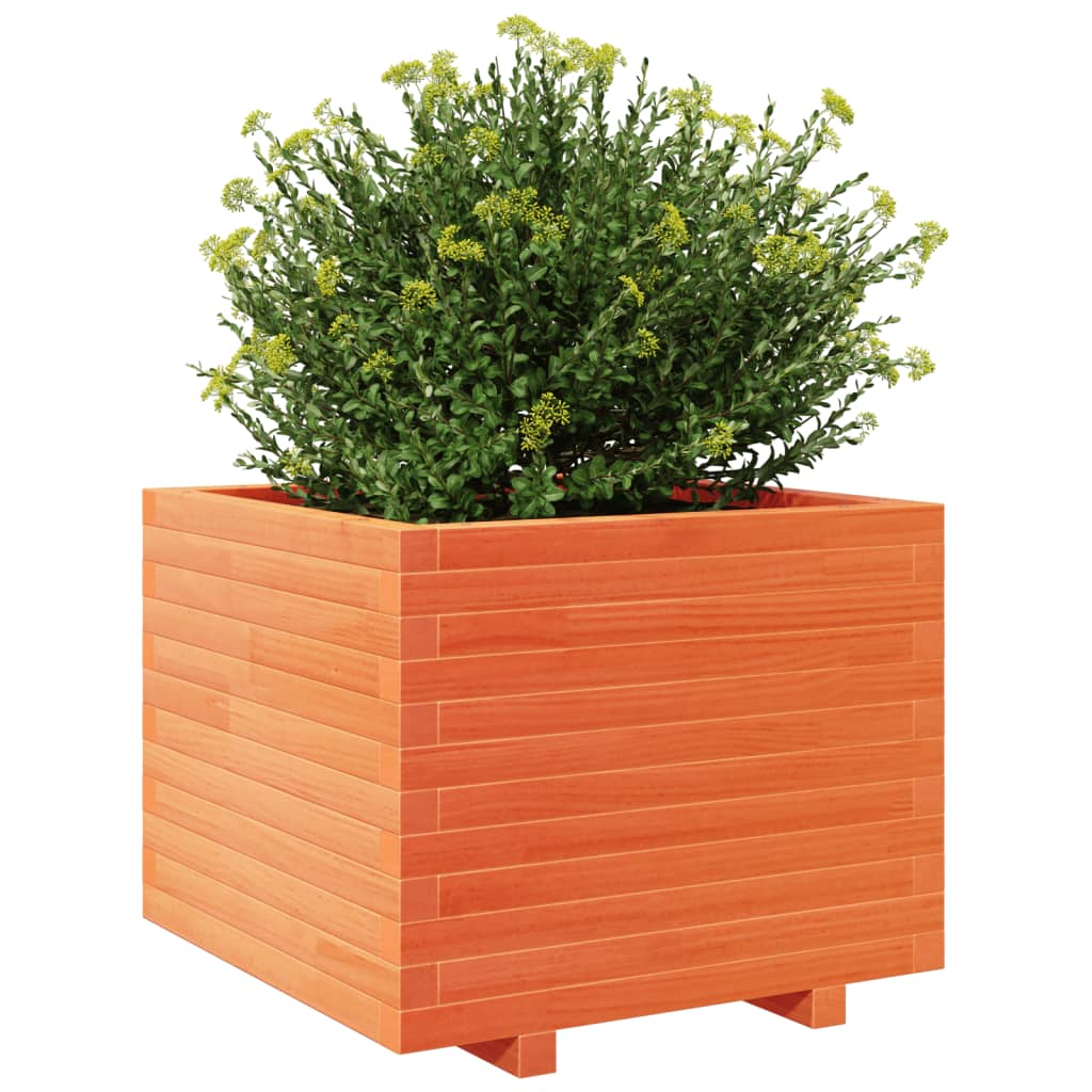 Utendørs Blomsterkasse Plantekasse Tre voksbrun 60x60x49,5 cm heltre furu