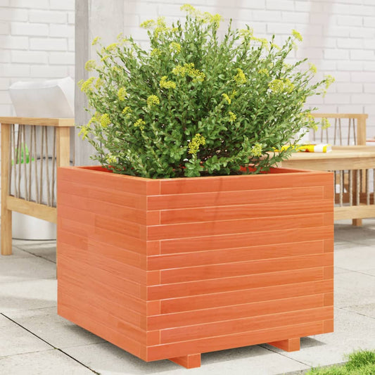 Utendørs Blomsterkasse Plantekasse Tre voksbrun 60x60x49,5 cm heltre furu