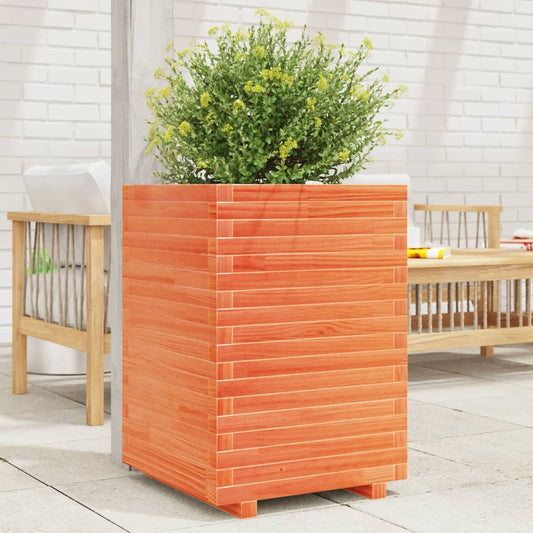 Utendørs Blomsterkasse Plantekasse Tre voksbrun 50x50x72 cm heltre furu