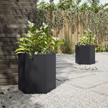 Hageplanter 2 stk svart sekskantet 46x40x45 cm stål
