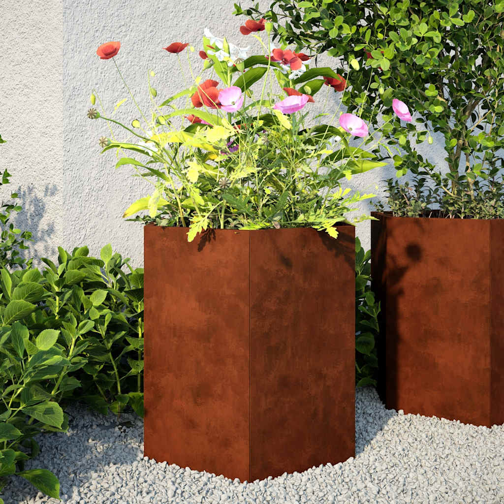 Plantekasser 2 stk sekskantet 46x40x45 cm Forvitringsstål