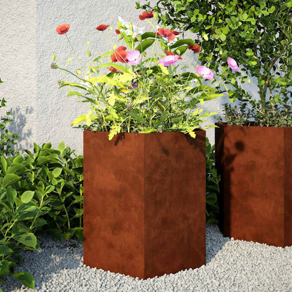 Plantekasser 2 stk sekskantet 46x40x45 cm Forvitringsstål