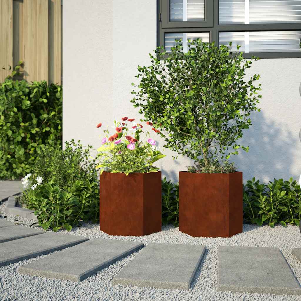Plantekasser 2 stk sekskantet 46x40x45 cm Forvitringsstål