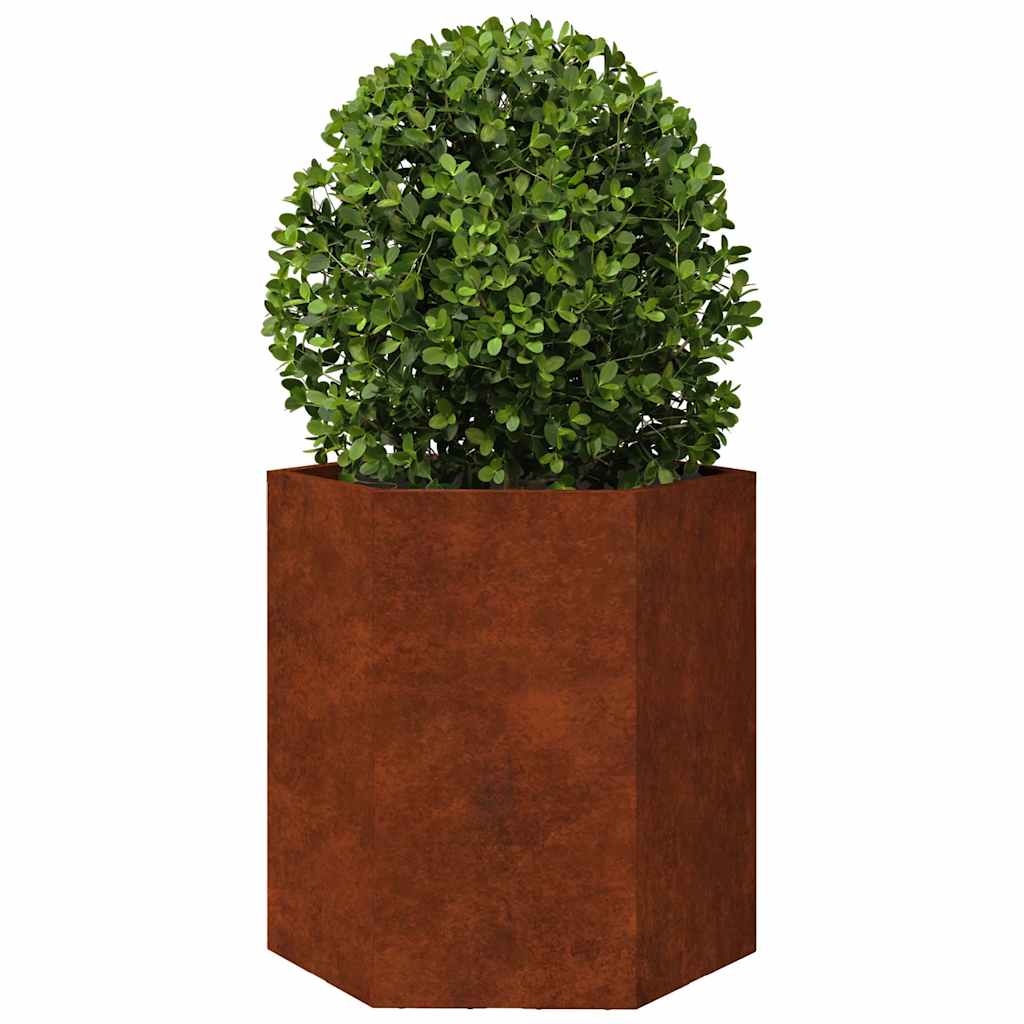 Plantekasser 2 stk sekskantet 46x40x45 cm Forvitringsstål