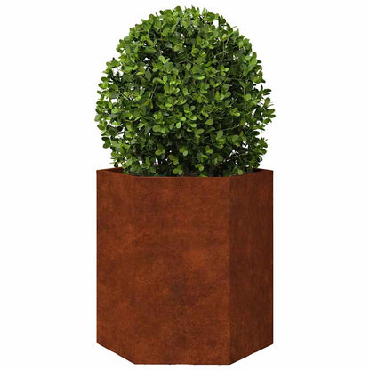 Plantekasser 2 stk sekskantet 46x40x45 cm Forvitringsstål
