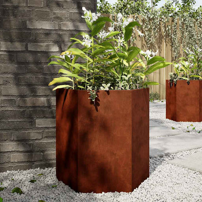 Plantekasser 2 stk sekskantet 46x40x45 cm Forvitringsstål