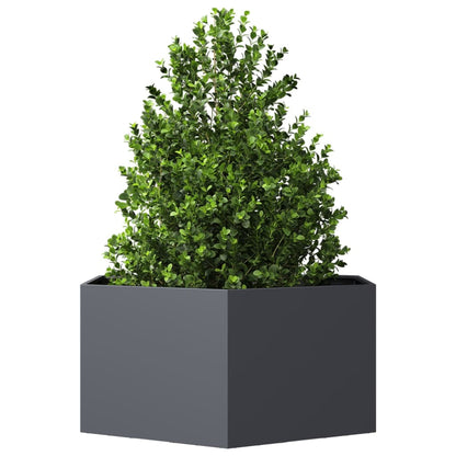 Plantekasse antrasitt sekskantet 104x90x45 cm stål