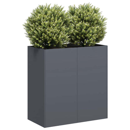 Plantekasse antrasitt 80x40x80 cm kaldvalset stål