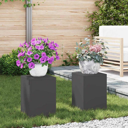 Planteholder 2 pcs Svart 24 x 24 x 35 cm Stål