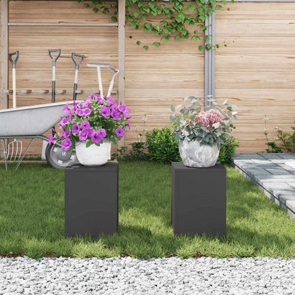 Planteholder 2 pcs Svart 24 x 24 x 35 cm Stål