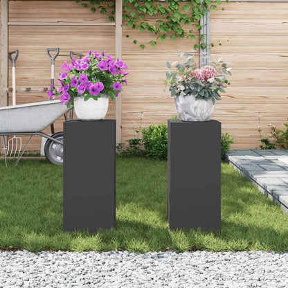 Planteholder 2 pcs Svart 24 x 24 x 55 cm Stål