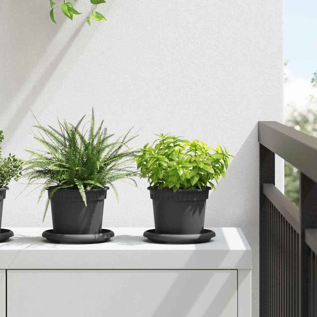 Plantepotter 6 pcs Svart Ø 12,5 x 10 cm Plast