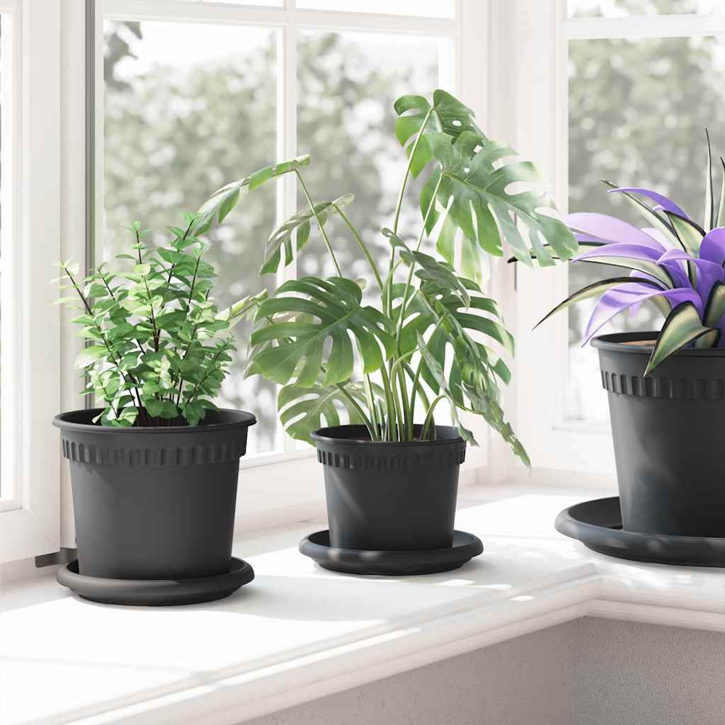 Plantepotter 6 pcs Svart Ø 12,5 x 10 cm Plast