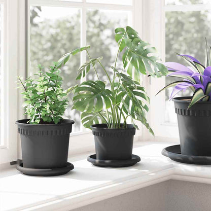 Plantepotter 6 pcs Svart Ø 12,5 x 10 cm Plast