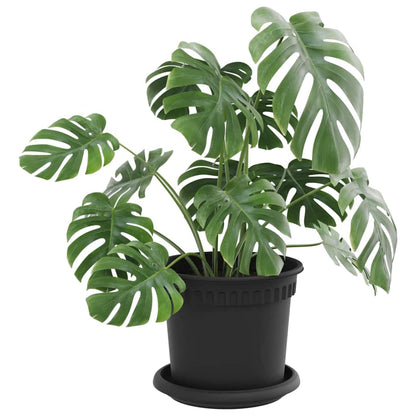 Plantepotter 24 pcs Svart Ø 15 x 12 cm Plast