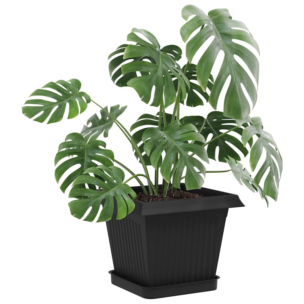 Plantepotter 6 pcs Svart 20 x 20 x 16 cm Plast