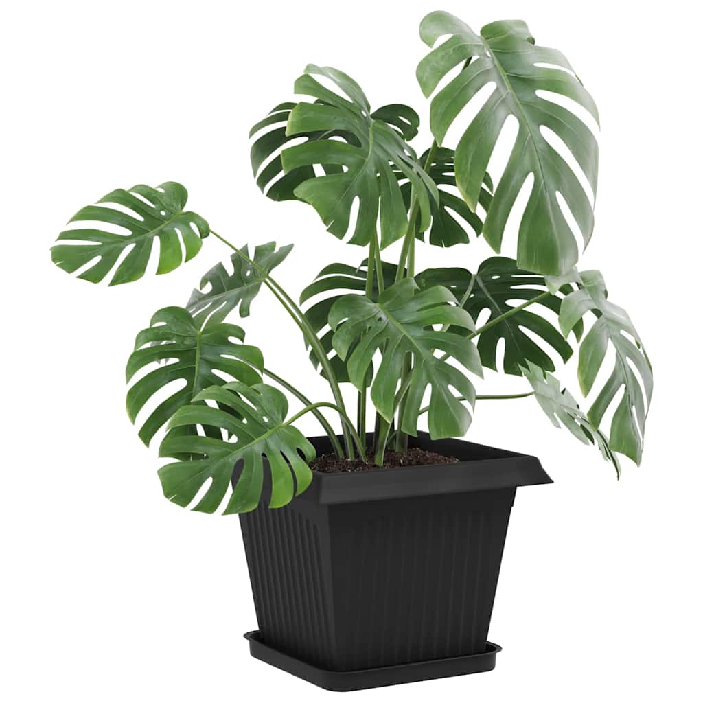 Plantepotter 6 pcs Svart 33 x 33 x 26 cm Plast