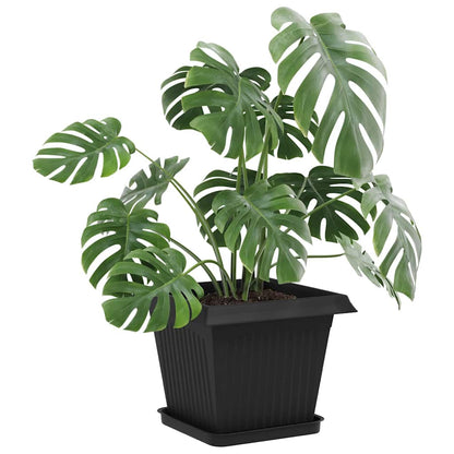 Plantepotter 6 pcs Svart 33 x 33 x 26 cm Plast