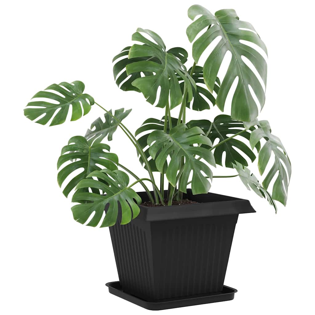 Plantepotter 6 pcs Svart 38 x 38 x 30 cm Plast