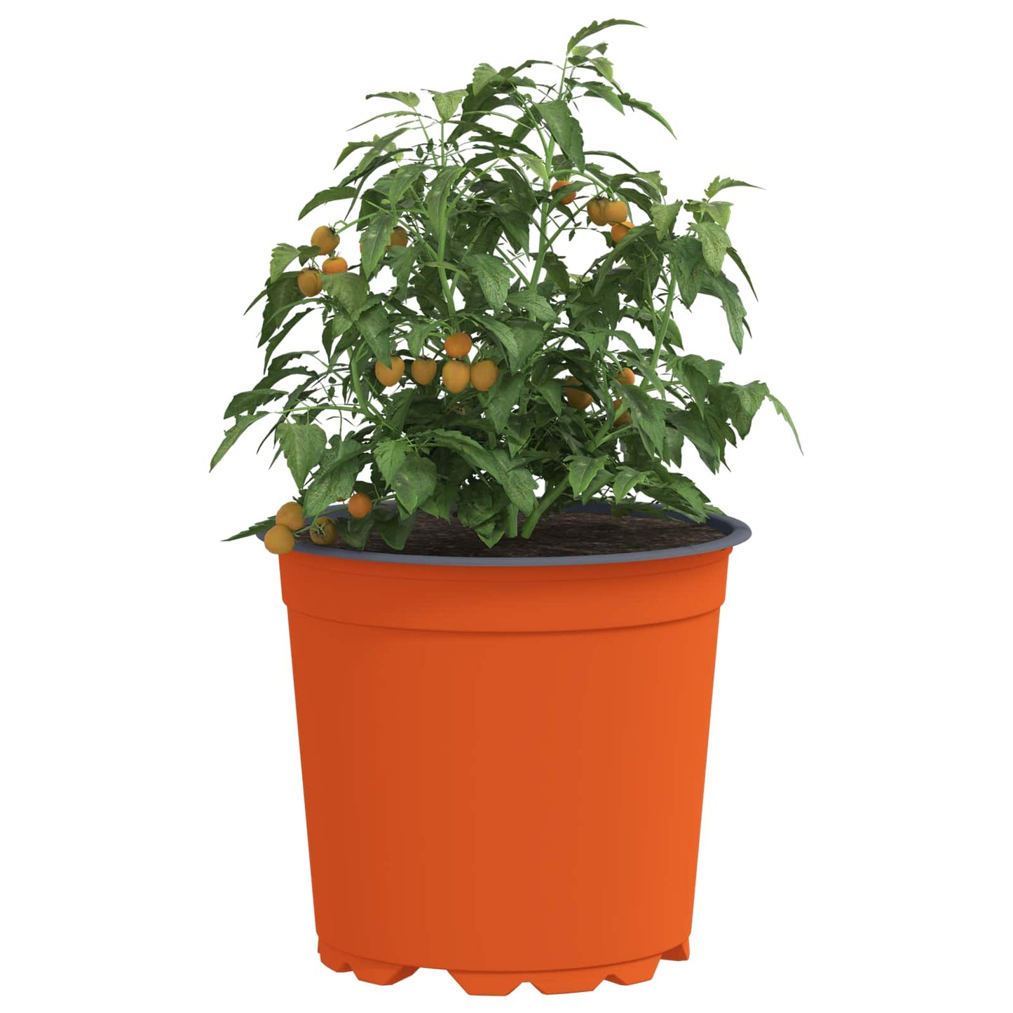 Blomsterpotte 200 pcs Terrakotta Ø 15 x 13 cm Plast