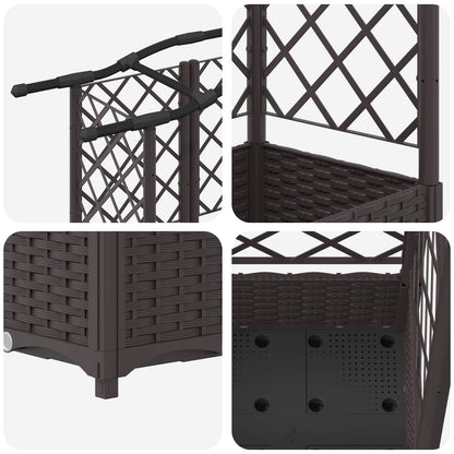 Hevet Bed med Trellis og Tak Brun 163 x 40 x 126 cm PP