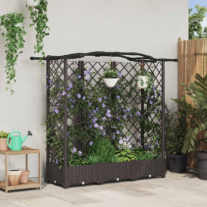 Hevet Bed med Trellis og Tak Brun 163 x 40 x 126 cm PP