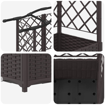 Hevet Bed med Trellis og Tak Brun 122 x 40 x 141 cm PP