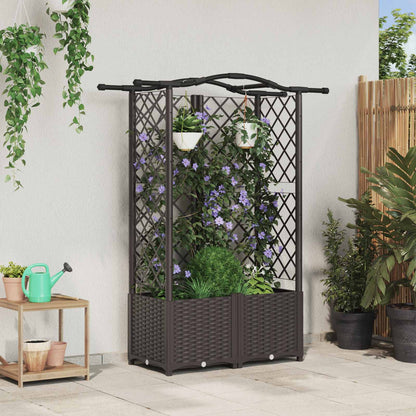 Hevet Bed med Trellis og Tak Brun 122 x 40 x 141 cm PP