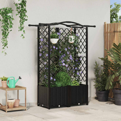 Hevet Bed med Trellis og Tak Svart 122 x 40 x 141 cm PP