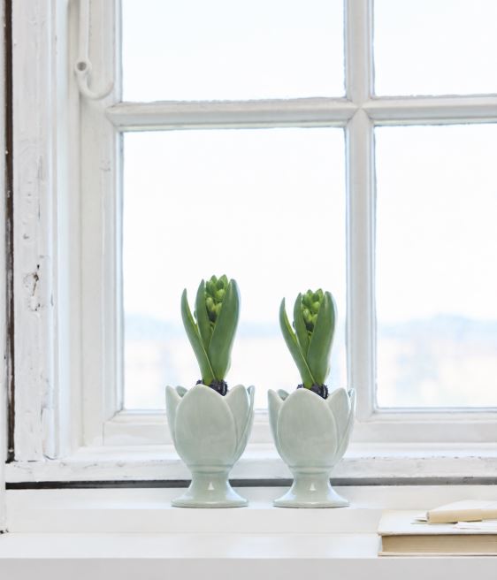 Dekorativ blomsterpotte for hyasinter, 2-pakning, 10,7 cm, grønn