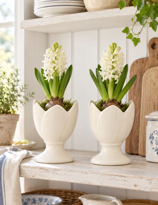 Dekorativ blomsterpotte for hyasinter, 2-pakning, 10,7 cm, hvit
