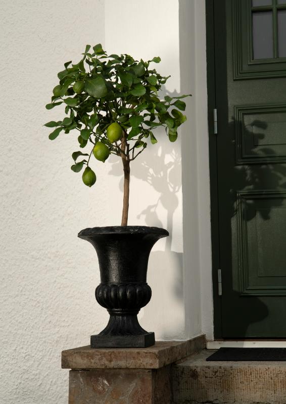 Blomsterpotte Blomsterkrukke Pokal Svart - 45cm