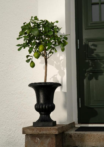 Blomsterpotte Blomsterkrukke Pokal Svart - 45cm