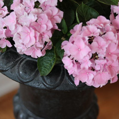 Blomsterpotte Blomsterkrukke Pokal Svart - 45cm