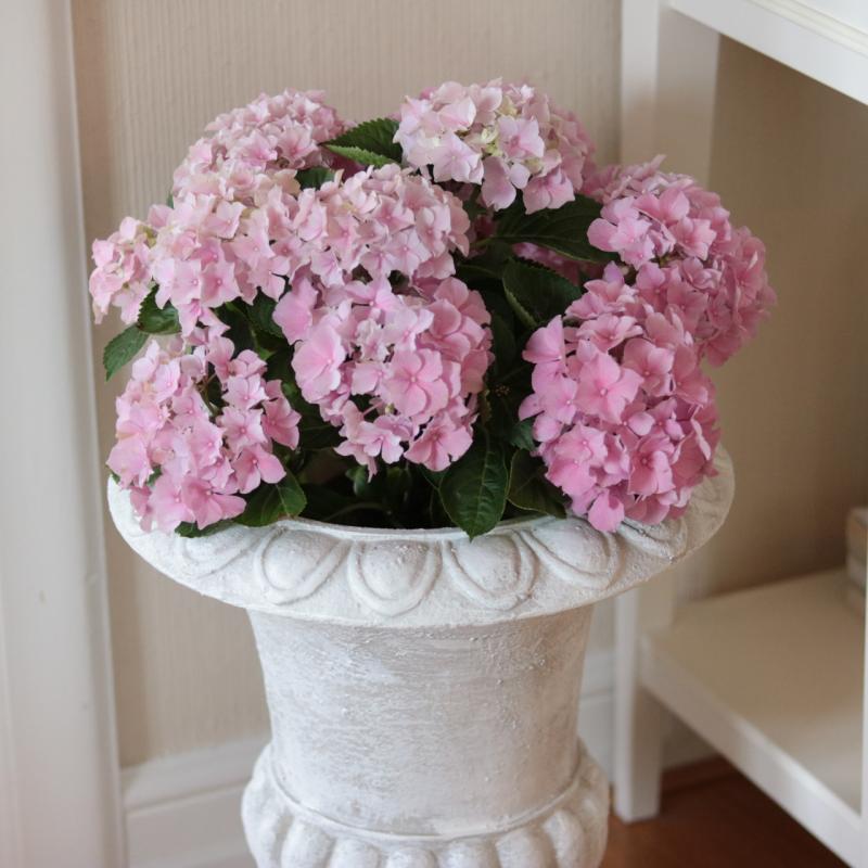 Blomsterpotte Blomsterkrukke Pokal Antikk hvit - 45cm SALG
