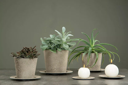Hardplast Blomsterpotte Grå Fat Rondo 20x2cm