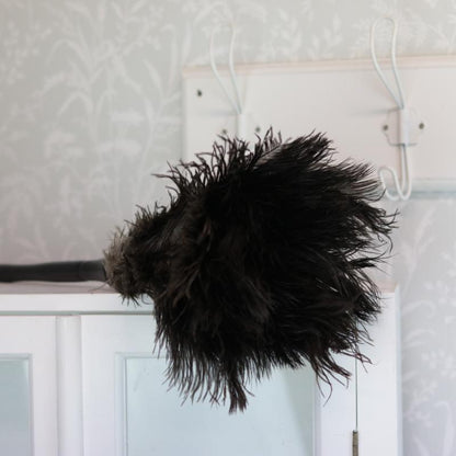 Støvtørker Luksus strutsefjær 54 cm Sort