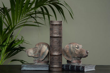 Dekorasjon Bokeske Skinn 27x18x7cm