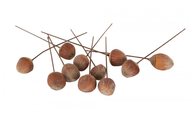 Pynt Hasselnøtt tråd Naturlig 2cm 25-pack SALG